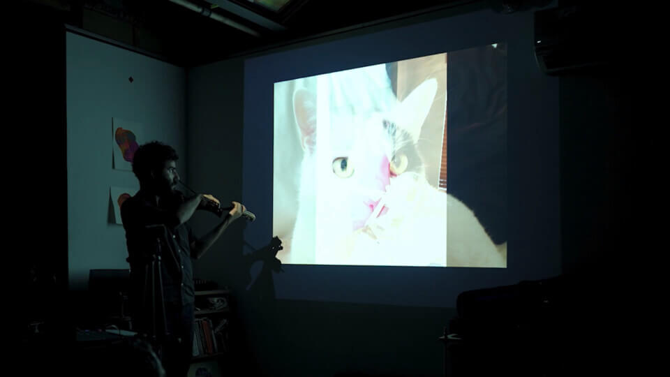 the performer, playing MIDI violin in front of a projection. The projection shows a composite of two images. One of the images is of a cat